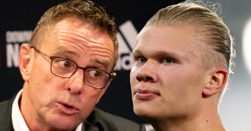 情感觉醒猫猫出击《猫之城》7月20日公测开启